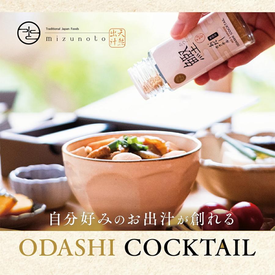 だしカクテル 5本 ギフトセット mizunoto 国産 出汁 だし 粉末 パウダー 無添加 熨斗対応 粉末だし 食塩不使用 無塩 酵母エキス 5種 | ブランド登録なし | 01
