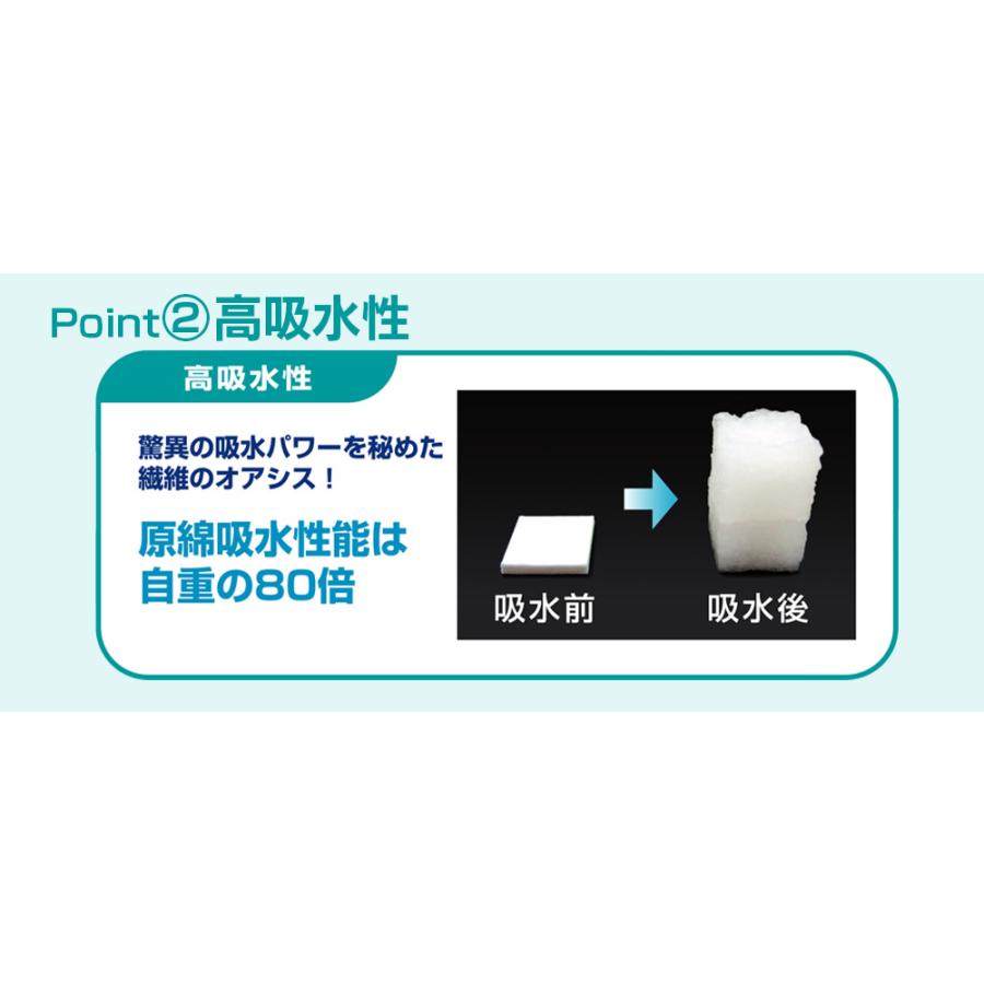 TEIJIN（テイジン） 【直送】除湿マット 除湿シート シングル 90×180