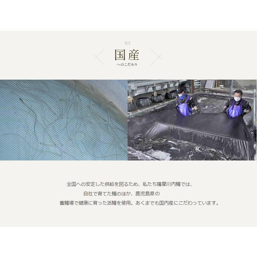 うなぎ  蒲焼き 国産 【直送】 ウナギ 鹿児島 鰻 特大 250g × 2尾 うなぎ蒲焼き グルメ 鹿児島産 ギフト 熨斗 のし対応 食べ物 グルメギフト 食品 贈り物 |  | 05