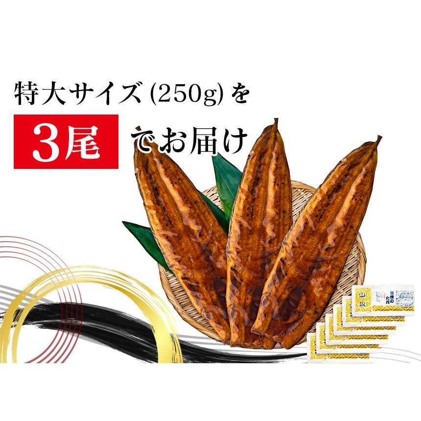 うなぎ  蒲焼き 国産 750g 【直送】 ウナギ 鹿児島 鰻 特大 250g × 3尾 うなぎ蒲焼き グルメ 鹿児島産 ギフト 熨斗 のし対応 食べ物 グルメギフト 食品 |  | 10