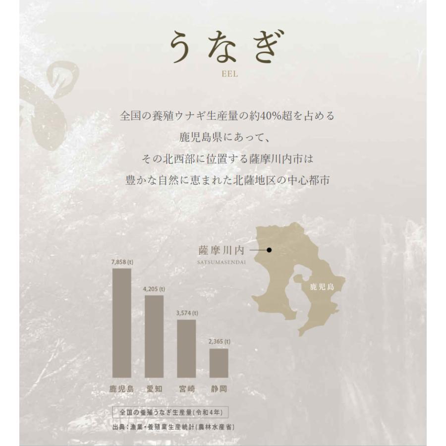 うなぎ  蒲焼き 国産 750g 【直送】 ウナギ 鹿児島 鰻 特大 250g × 3尾 うなぎ蒲焼き グルメ 鹿児島産 ギフト 熨斗 のし対応 食べ物 グルメギフト 食品 |  | 02