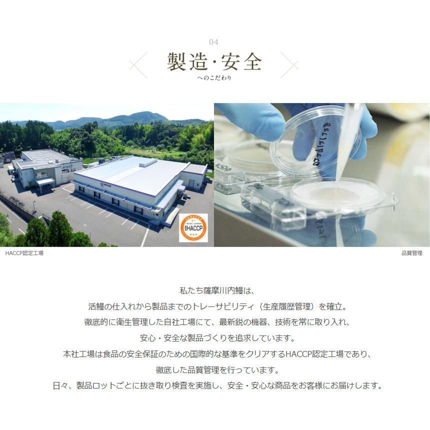 うなぎ  蒲焼き 国産 750g 【直送】 ウナギ 鹿児島 鰻 特大 250g × 3尾 うなぎ蒲焼き グルメ 鹿児島産 ギフト 熨斗 のし対応 食べ物 グルメギフト 食品 |  | 06