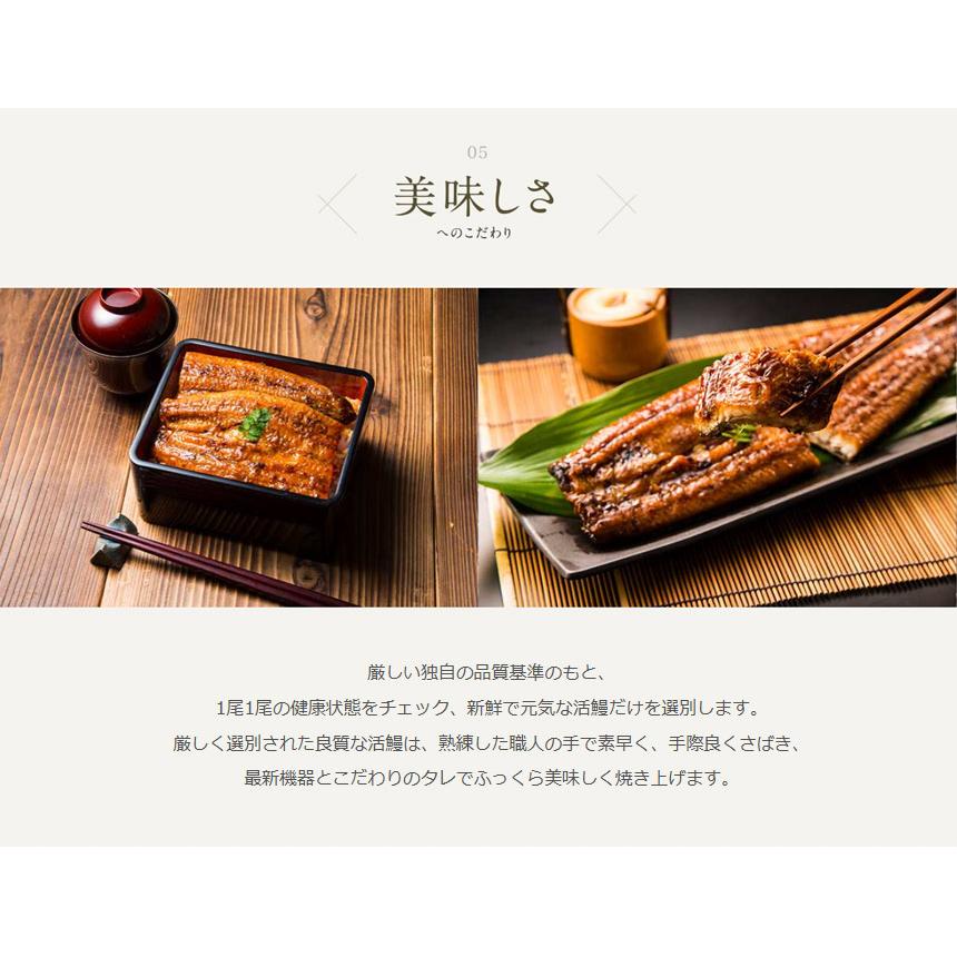 うなぎ  蒲焼き 国産 750g 【直送】 ウナギ 鹿児島 鰻 特大 250g × 3尾 うなぎ蒲焼き グルメ 鹿児島産 ギフト 熨斗 のし対応 食べ物 グルメギフト 食品 |  | 07