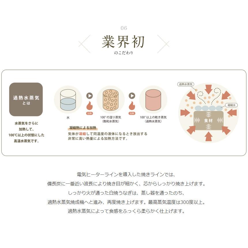 うなぎ  蒲焼き 国産 750g 【直送】 ウナギ 鹿児島 鰻 特大 250g × 3尾 うなぎ蒲焼き グルメ 鹿児島産 ギフト 熨斗 のし対応 食べ物 グルメギフト 食品 |  | 08