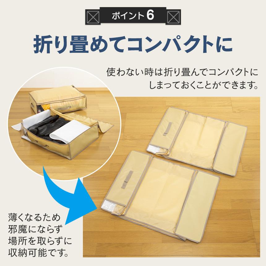TEIJIN（テイジン） 乾っとデオケースライト 収納ケース 2025 ベージュ