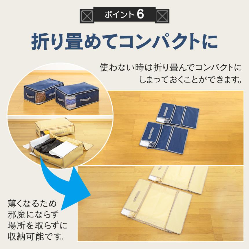 TEIJIN（テイジン） 乾っとデオケースライト 収納ケース 2025 ベージュ