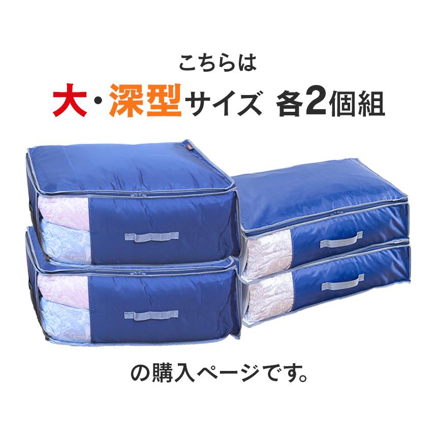 TEIJIN（テイジン） 乾っとデオケース 2026 ライト light 大 深型