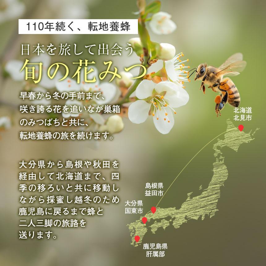 はちみつ 蜂蜜 国産 ハチミツ 純粋 非加熱 2本セット 百花蜂蜜 転地養蜂 百花蜜 抗生物質不使用 百花はちみつ レンゲ 菜の花 300g ボトル 日本産 はち福堂 | ブランド登録なし | 11