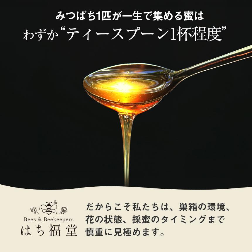 はちみつ 蜂蜜 国産 ハチミツ 純粋 非加熱 2本セット 百花蜂蜜 転地養蜂 百花蜜 抗生物質不使用 百花はちみつ レンゲ 菜の花 300g ボトル 日本産 はち福堂 | ブランド登録なし | 13