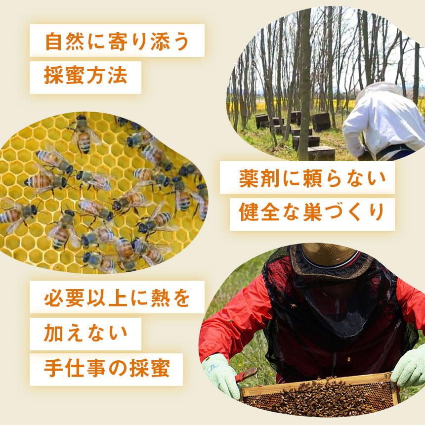 はちみつ 国産 蜂蜜 純粋 ハチミツ 百花蜂蜜 転地養蜂 抗生物質不使用 はち福堂 日本産 百花はちみつ 超低温加熱 百花蜜 レンゲ 菜の花 300g ボトル | ブランド登録なし | 14