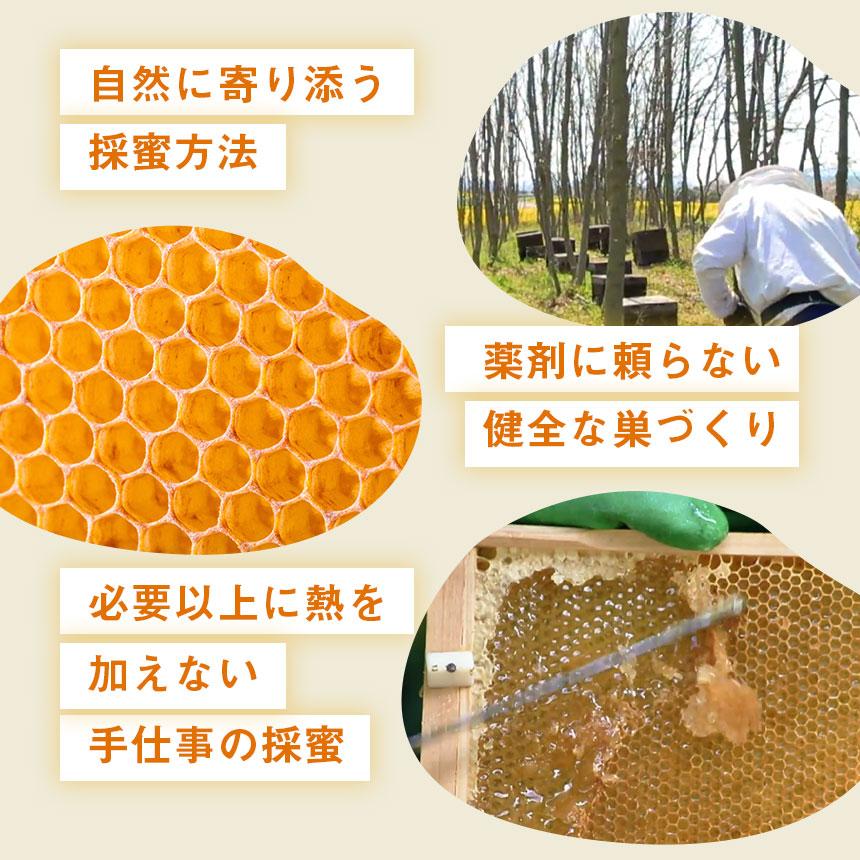はちみつ 国産 百花蜂蜜 純粋 非加熱 ハチミツ 抗生物質不使用 蜂蜜 日本産 百花 百花蜜 300g ボトル 転地養蜂 はち福堂 | ブランド登録なし | 14