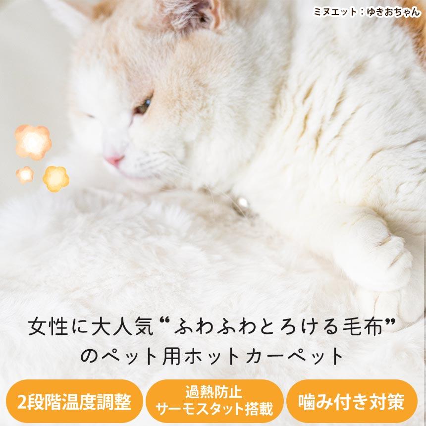 ペット マット カーペット ふわとろカバー 犬 猫 適温 ペットマット ホットマット 噛みつき対策 ふわふわ 洗濯可能 洗える ラビットファー調 ホットカーペット | ブランド登録なし | 01