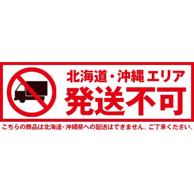 ヒーター カーボンヒーター 首振り機能付 電気ストーブ 左右自動首振り Wカーボンストーブ スマート CB-T2514 2本 スリム スリーアップ | THREEUP | 09
