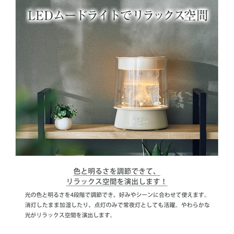 QUADS（クワッズ） 加湿器 ガラスポット スチーム式 GLASS グラス