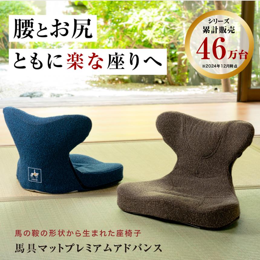 座椅子 腰痛 骨盤 クッション 美姿勢 馬具マット プレミアム アドバンス 腰サポート 快適 猫背 ゲル 軽量 お尻 坐骨 馬具構造 鞍 | ドリーム | 01