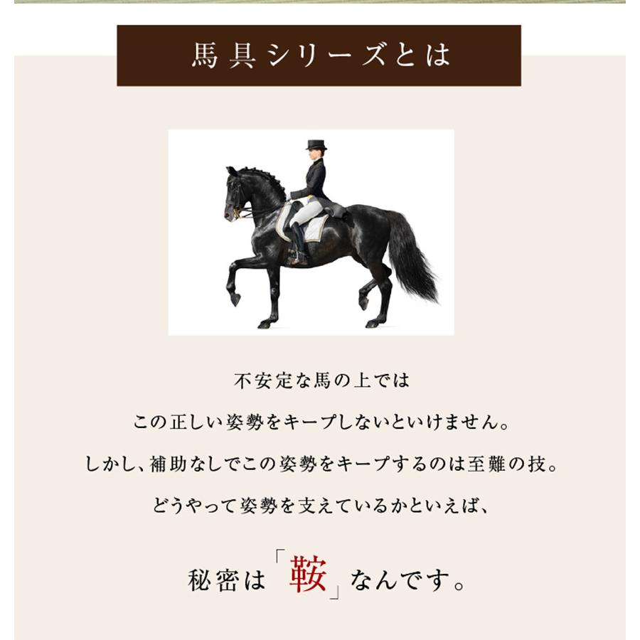 座椅子 腰痛 骨盤 クッション 美姿勢 馬具マット プレミアム アドバンス 腰サポート 快適 猫背 ゲル 軽量 お尻 坐骨 馬具構造 鞍 | ドリーム | 02
