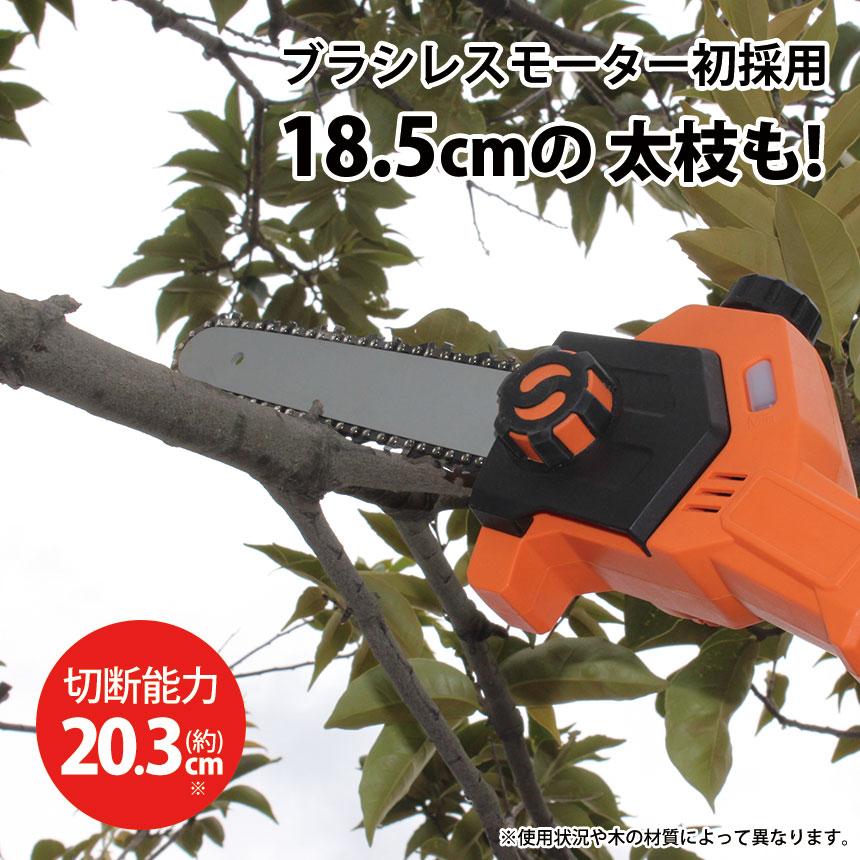 チェーンソー 高枝 24V 充電式 YARDFORCE ブラシレス モーター チェーンソー 軽量 ブラシレスモーター 家庭用 高枝切り 高枝のこぎり ヤードフォース | YARD FORCE | 04
