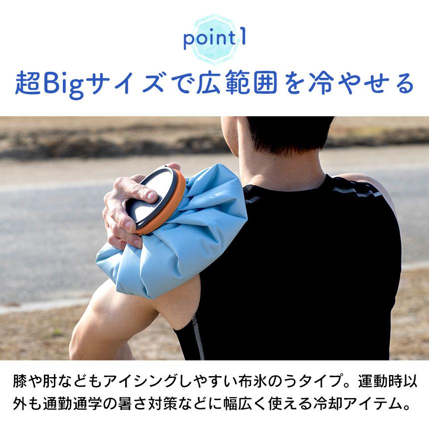 ピーコック魔法瓶工業 氷のう アイスパック 布タイプ 氷嚢 ピーコック