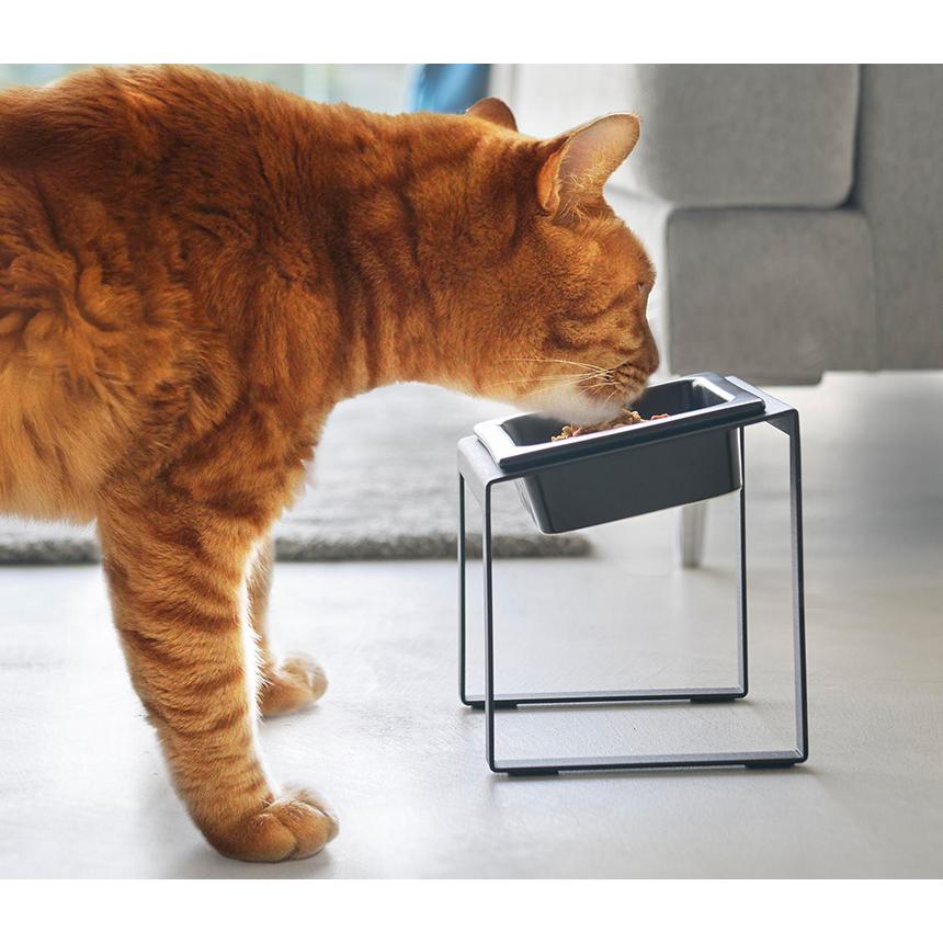 ペットフードボウルスタンド 山崎実業 ヌークス 早食い防止 犬 猫 餌入れ 皿 エサ ペットフード ドッグフード 傾斜つき 肥満抑制 斜め nooks | 山崎実業 | 09