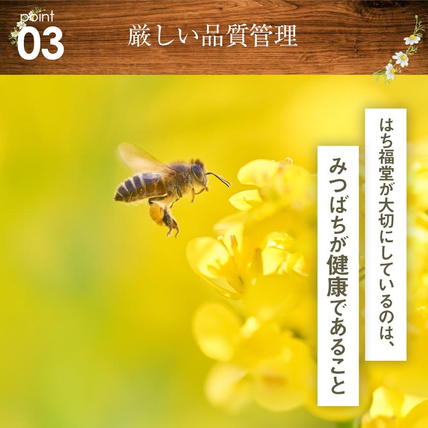 アカシアはちみつ 国産 北海道産 純粋 非加熱 45℃以下低温管理 北見 網走 300g 2本セット 液だれしにくい クセが少ない 上品な甘さ ギフト はち福堂 | ブランド登録なし | 10