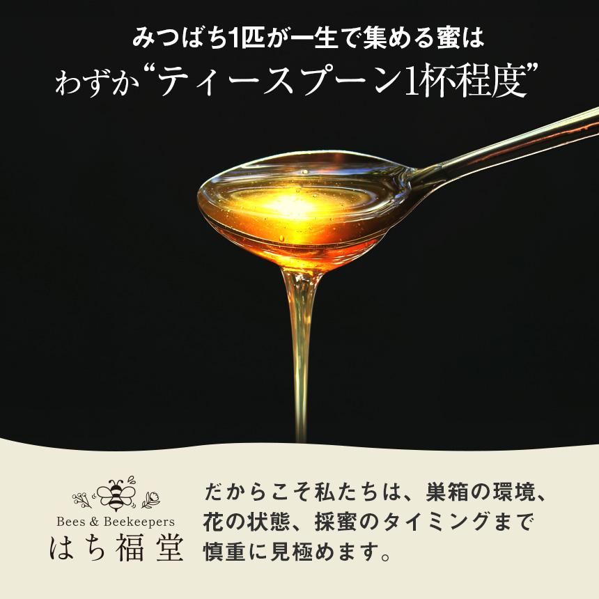 アカシアはちみつ 国産 北海道産 純粋 非加熱 45℃以下低温管理 北見 網走 300g 2本セット 液だれしにくい クセが少ない 上品な甘さ ギフト はち福堂 | ブランド登録なし | 11