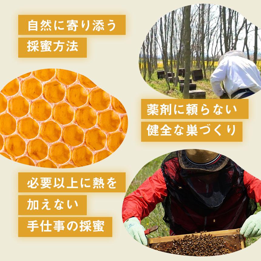 アカシアはちみつ 国産 北海道産 純粋 非加熱 45℃以下低温管理 北見 網走 300g 2本セット 液だれしにくい クセが少ない 上品な甘さ ギフト はち福堂 | ブランド登録なし | 12