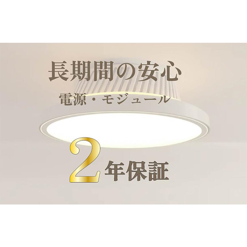 シーリングファンライト LED シーリングファン シーリングライト 空気清浄 照明 サーキュレーター 空気循環 HEPAフィルター 花粉 ホコリ 澄のわ Suminowa 10畳 | ブランド登録なし | 14