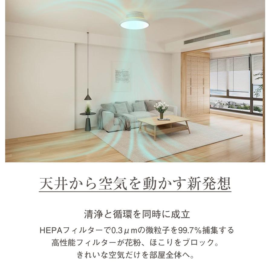 シーリングファンライト LED シーリングファン シーリングライト 空気清浄 照明 サーキュレーター 空気循環 HEPAフィルター 花粉 ホコリ 澄のわ Suminowa 10畳 | ブランド登録なし | 03