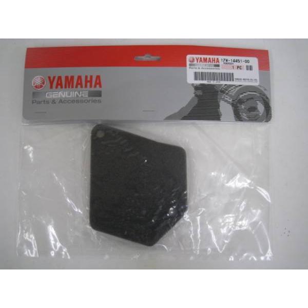 送料無料★新品★ＲＺ５０★ＤＴ５０ＬＣ★純正エアフィルター | 