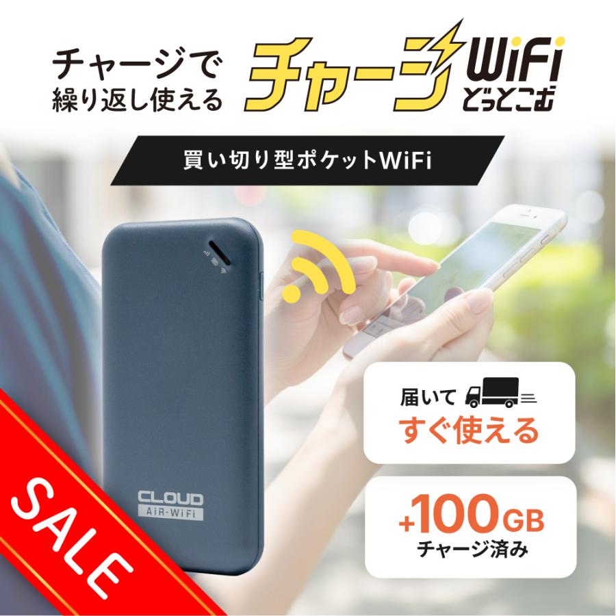 チャージwifi 100GB 買い切り型 プリペイドwifi ポケットwifi