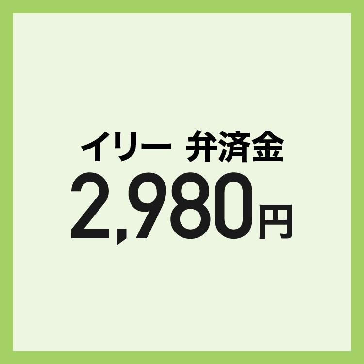 【弁済金】  翻訳機 ili本体 | 