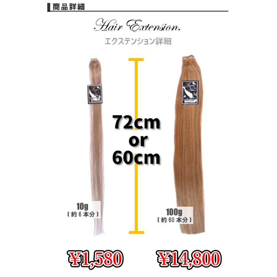 エクステ 編み込み 人毛100% 三つ編み 全10色 60cm 1束10g 毛束 エクステ 編み込み 人毛100% 三つ編み 全10色 60cm 1束10g 毛束