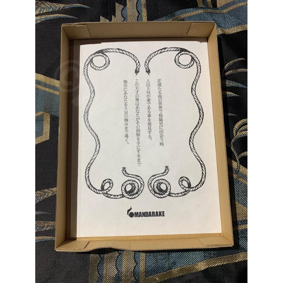 中古 希少本 絶版 椋陽児 縄 Jyo まんだらけ出版 限定 骨董 ビンテージ ヴィンテージ アンティーク 1点物 中古 希少本 絶版 椋陽児 縄 Jyo まんだらけ出版 限定 骨董 ビンテージ ヴィンテージ アンティーク 1点物