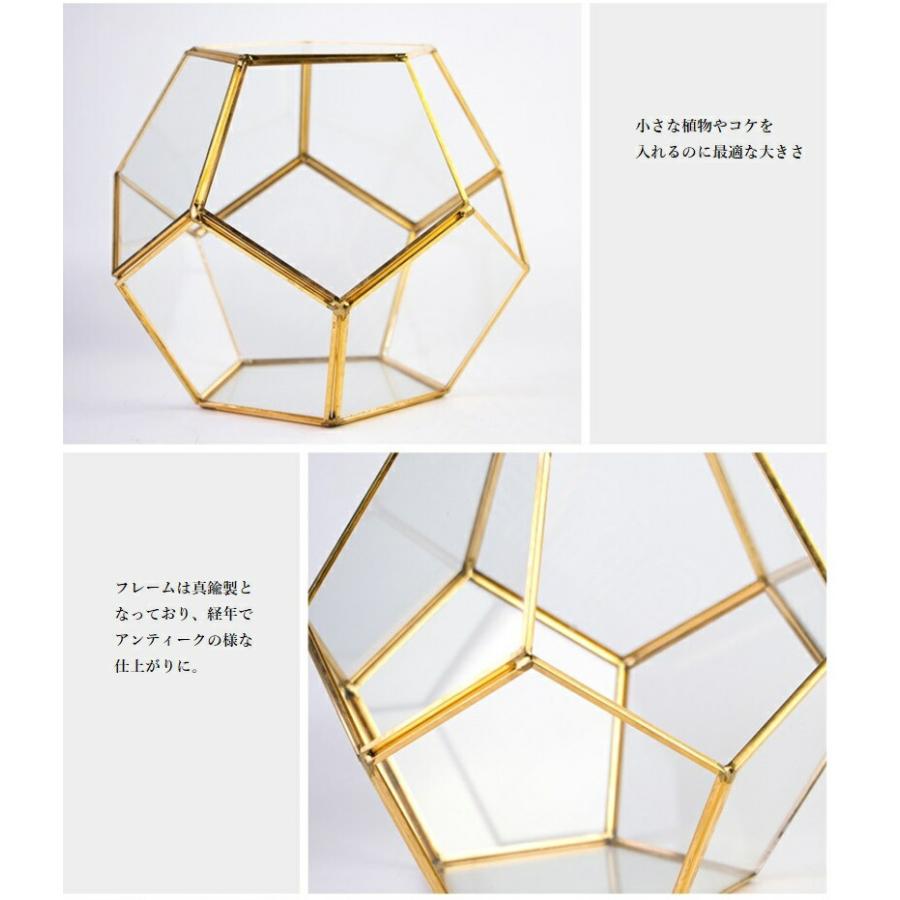 真鍮 ガラスフレーム テラリウム 苔 ハンギング 吊り下げ可能 ガラス