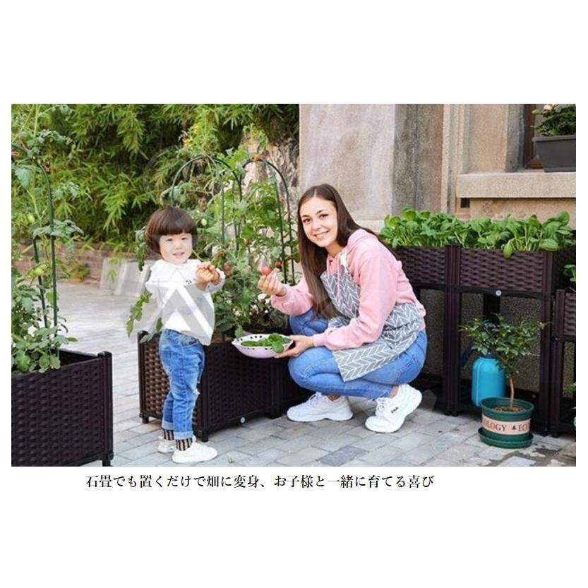 ガーデニングボックス ガーデングボックス 組み立て式 植木鉢 ガーデニングボックス ガーデングボックス 組み立て式 植木鉢