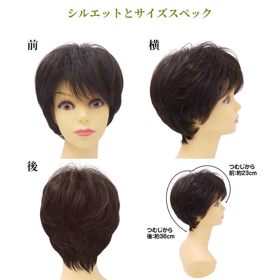 【人工頭皮がついてリニューアル】ウィッグ ショート 「ミニマムショート」 白髪混じり シニア フルウィッグ レディース A-111 黒髪 グレーの画像