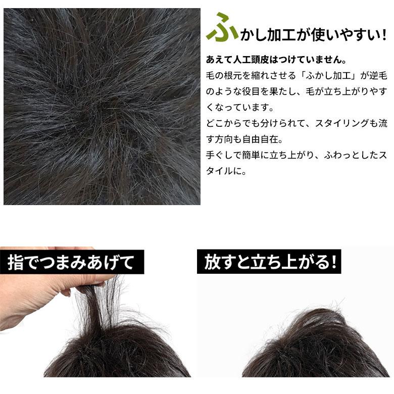 ウィッグ メンズ 606 男性用かつら 黒 スタイリングショート ブラック アノザラメ 黒髪 男性 カツラ FW-M02-BL 送料無料の画像