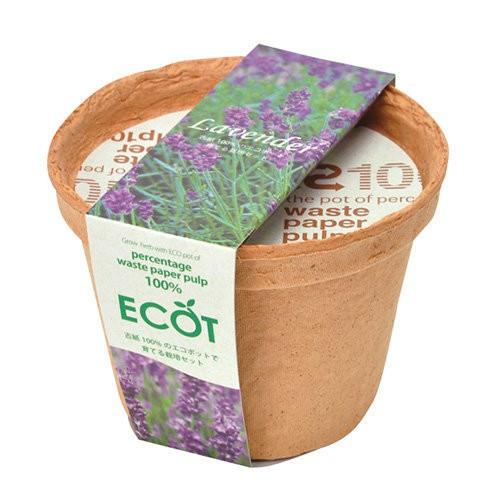 聖新陶芸 エコット S ラベンダー 植物 グリーン 栽培セット ガーデニング プチプラ ギフト 景品 プレゼント Bs ウィッグランド 通販 Yahoo ショッピング