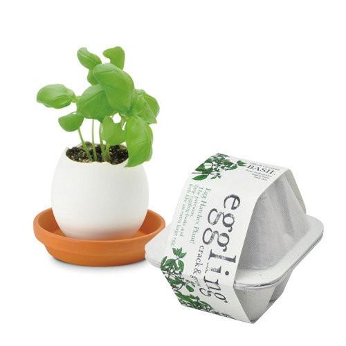 売れ筋がひクリスマスプレゼント 聖新陶芸 エッグリング エコフレンドリー バジル 植物 グリーン 栽培セット ガーデニング プチプラ ギフト 景品 プレゼント
