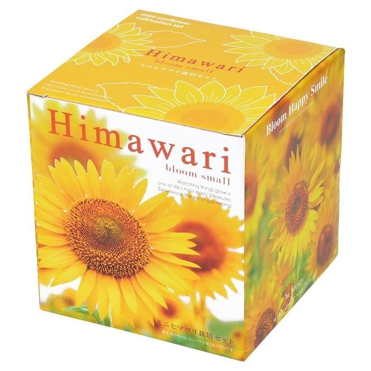 ミニひまわり栽培セット ハートポットで育てるヒマワリ栽培キット 観葉植物 ガーデニング 聖新陶芸 ギフト プレゼント Bs 0349 ウィッグランド 通販 Yahoo ショッピング