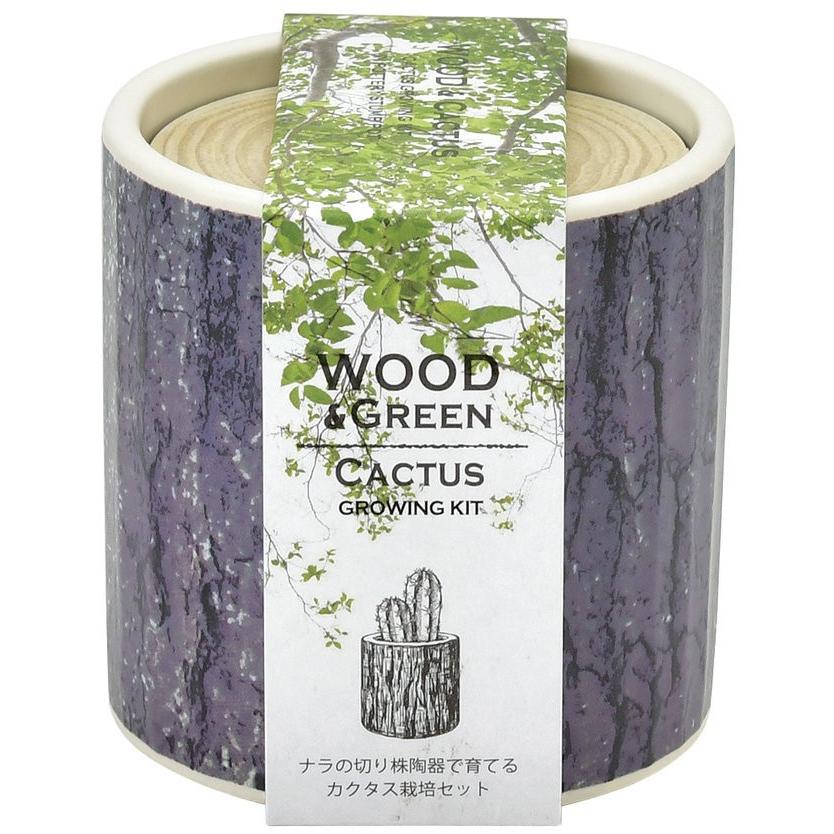 ウッド グリーン オーク カクタス 観葉植物 ガーデニング 聖新陶芸 ギフト プレゼント 栽培セット インテリア雑貨 Bs 0375 ウィッグランド 通販 Yahoo ショッピング