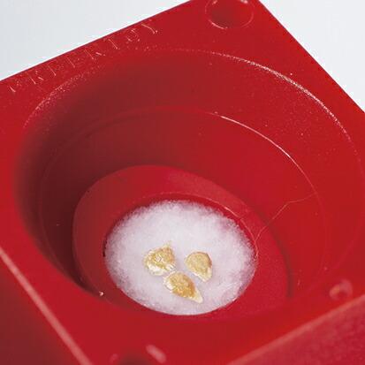 グリーントイ かわいいサボテン ペットボトルで育てる栽培セット 聖新陶芸 観葉植物 プレゼント ギフト 景品 Bs ウィッグランド 通販 Yahoo ショッピング