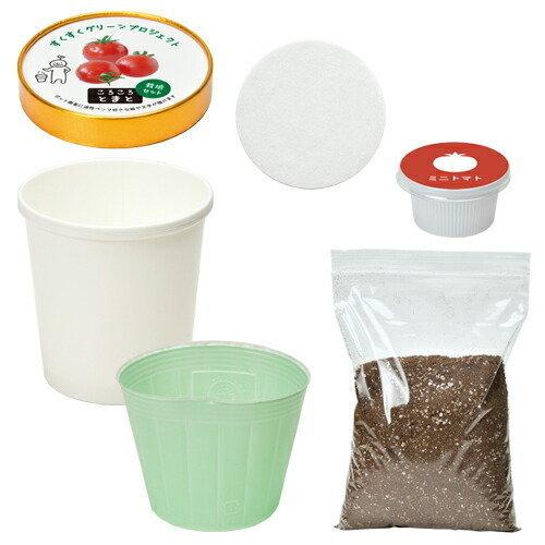 すくすく栽培セット ふりふりれたす タネまきから収穫までを体験できるこども向け栽培セット 聖新陶芸 観葉植物 ガーデニング 21激安通販