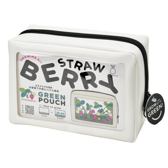 聖新陶芸 グリーンポーチ 白 ワイルドストロベリー GD-100402 栽培