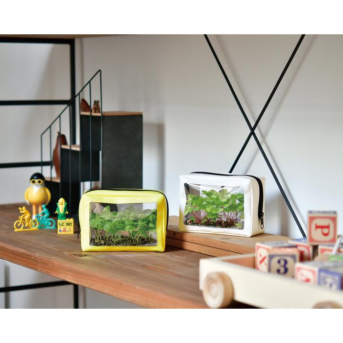 聖新陶芸 グリーンポーチ 白 ワイルドストロベリー GD-100402 栽培