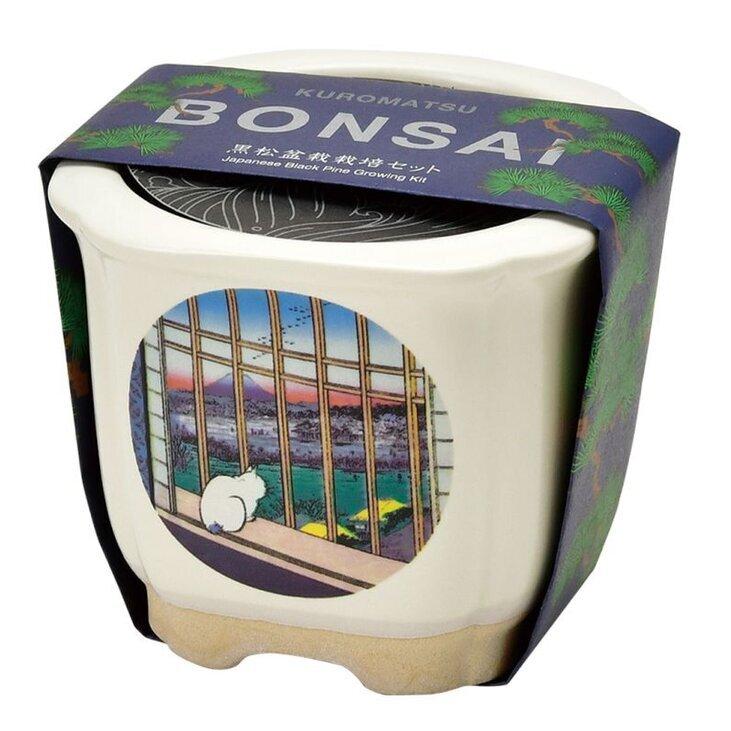 JAPANESE BONSAI 富士と猫 赤松 GD-64006 聖新陶芸 ギフト 栽培セット