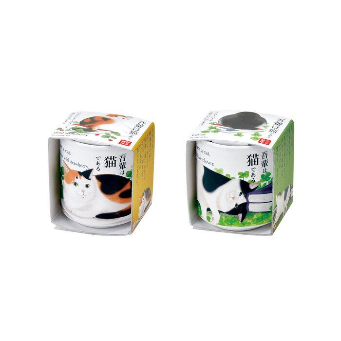 お芽でたおちょこ 吾輩猫 ミント GD-102801 聖新陶芸 栽培セットギフト