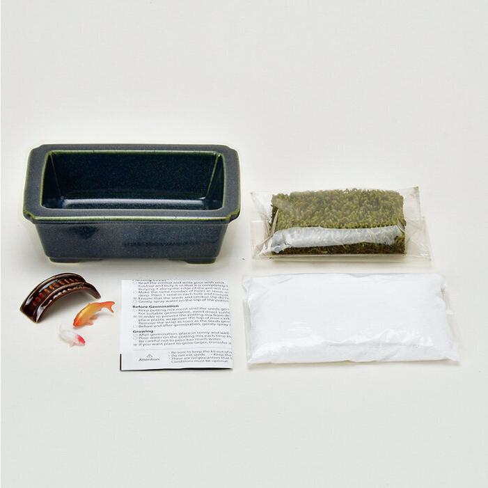 ガーデニングセット 禅庭 ZEN GARDEN 鯉 GD-104702 聖新陶芸 ギフト 栽培セット