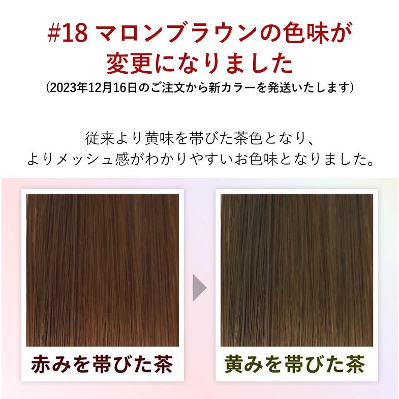 エクステ ウィッグ メッシュエク ステンション プリシラ 10秒カラ