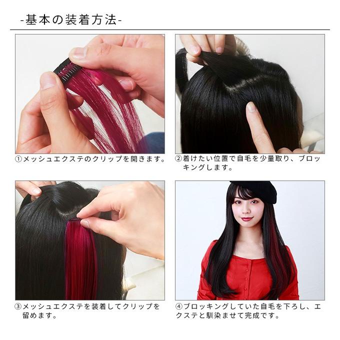 エクステ ウィッグ メッシュエクステンション プリシラ 10秒 エクステ ウィッグ メッシュエクステンション プリシラ 10秒